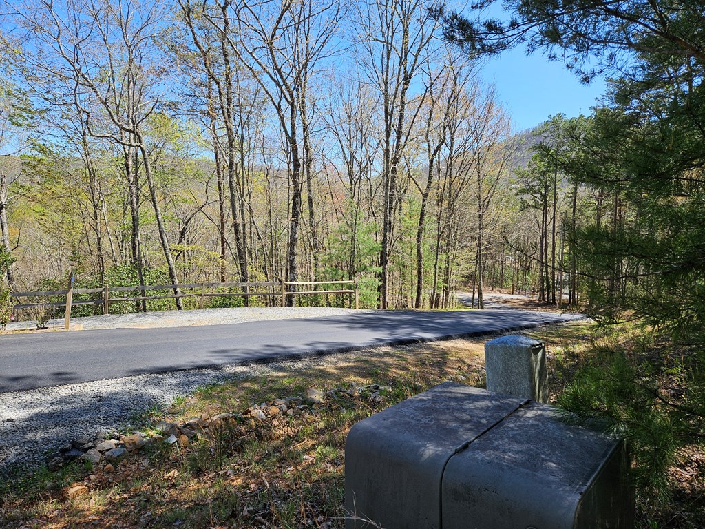 5.2 Deer Crest Road Property Photo 4