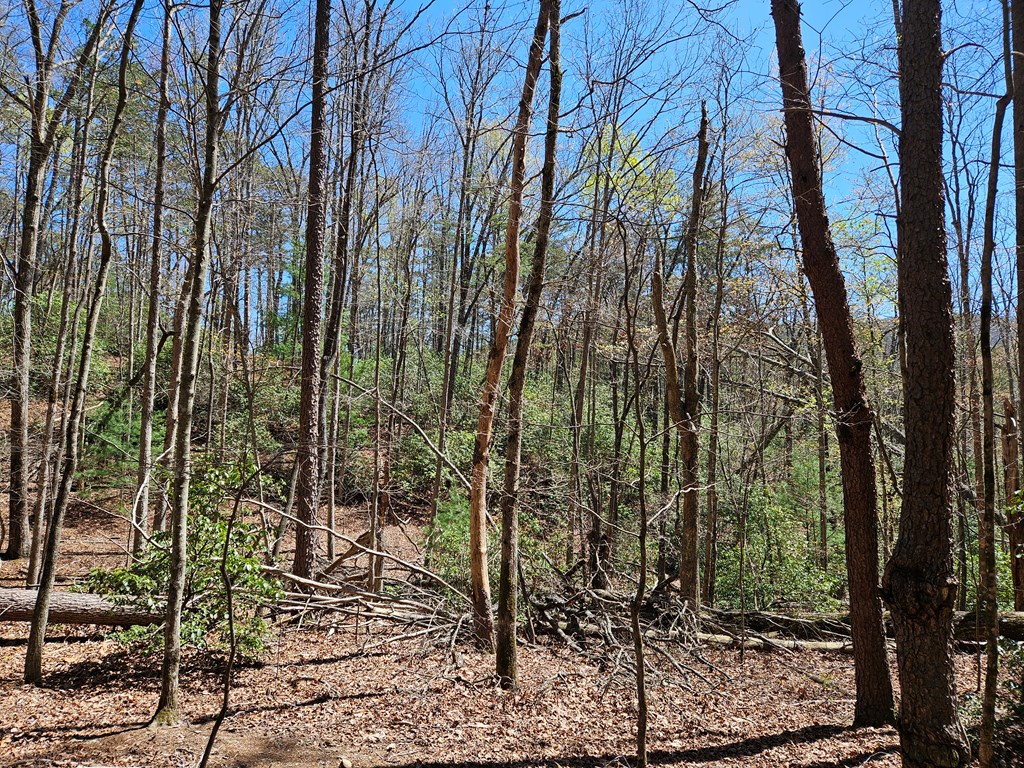 5.2 Deer Crest Road Property Photo 5