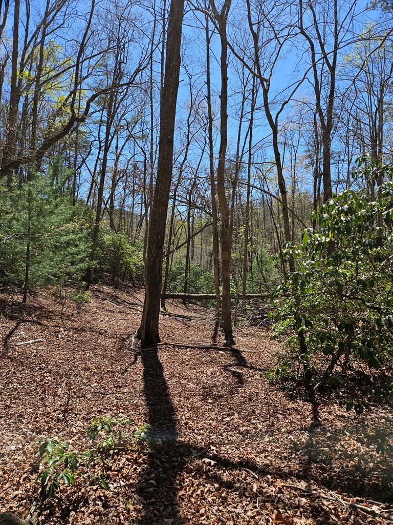 5.2 Deer Crest Road Property Photo 7