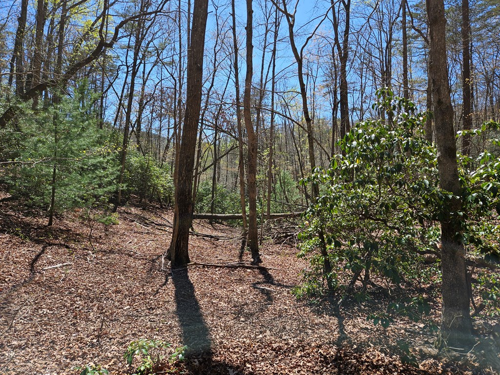 5.2 Deer Crest Road Property Photo 10