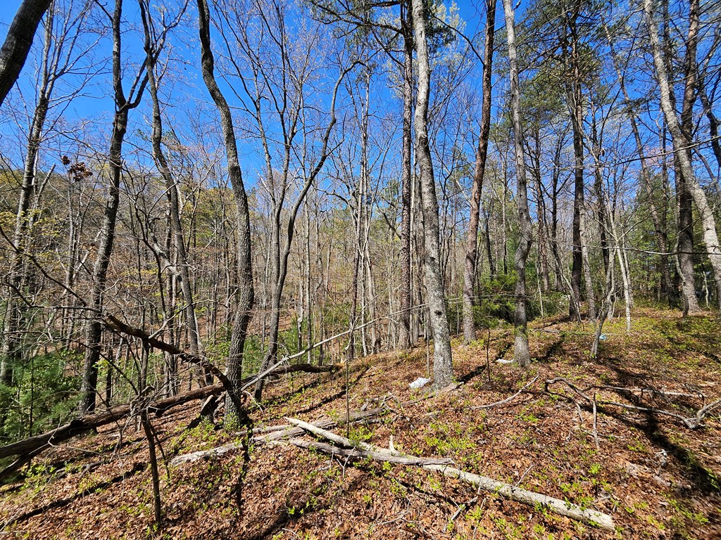 5.2 Deer Crest Road Property Photo 13