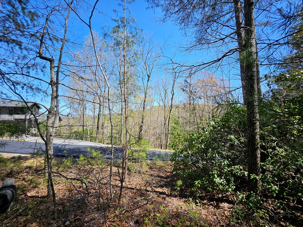 5.2 Deer Crest Road Property Photo 14