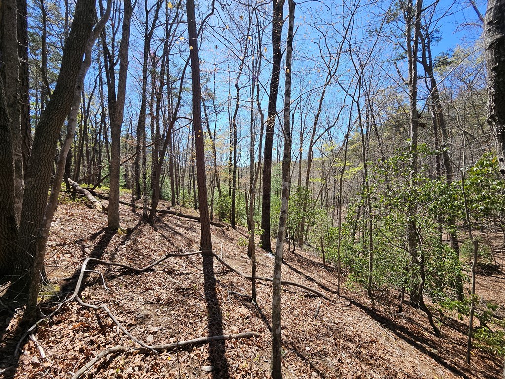 5.2 Deer Crest Road Property Photo 16