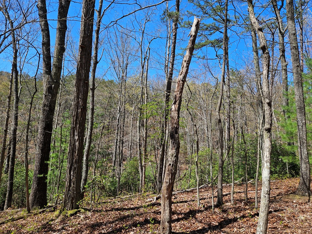 5.2 Deer Crest Road Property Photo 17