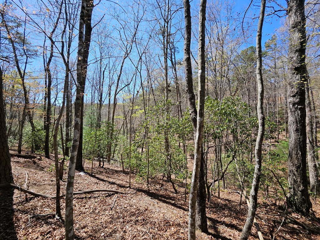 5.2 Deer Crest Road Property Photo 18