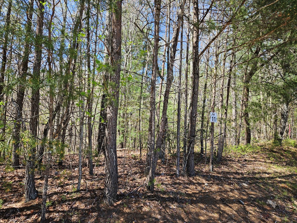 5.2 Deer Crest Road Property Photo 19