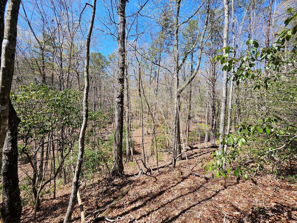 5.2 Deer Crest Road Property Photo 20