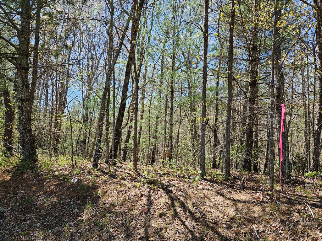 5.2 Deer Crest Road Property Photo 21