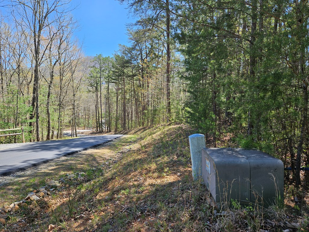 5.2 Deer Crest Road Property Photo 23