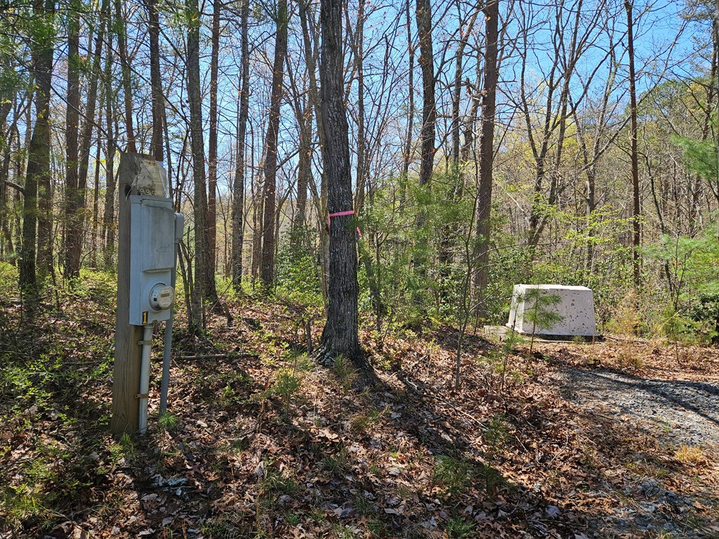 5.2 Deer Crest Road Property Photo 26