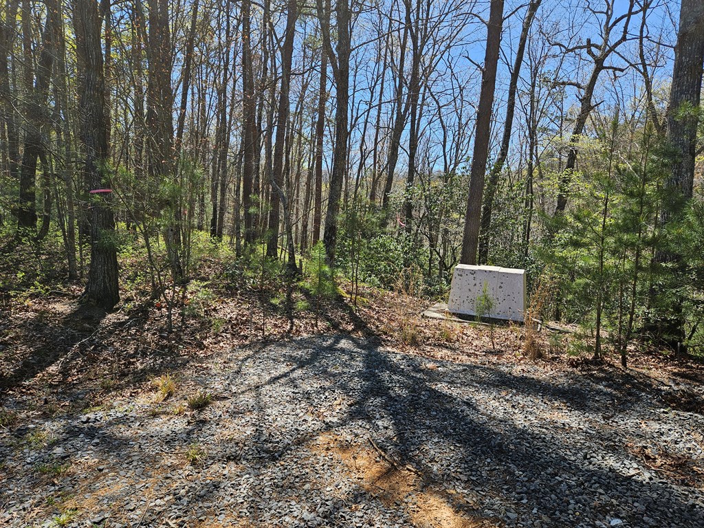 5.2 Deer Crest Road Property Photo 28