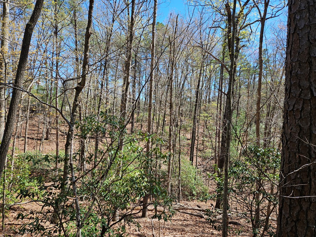 5.2 Deer Crest Road Property Photo 31