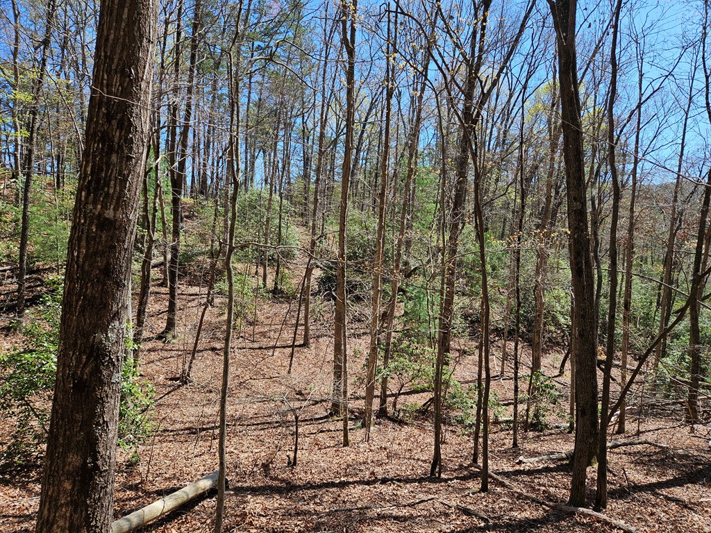5.2 Deer Crest Road Property Photo 33