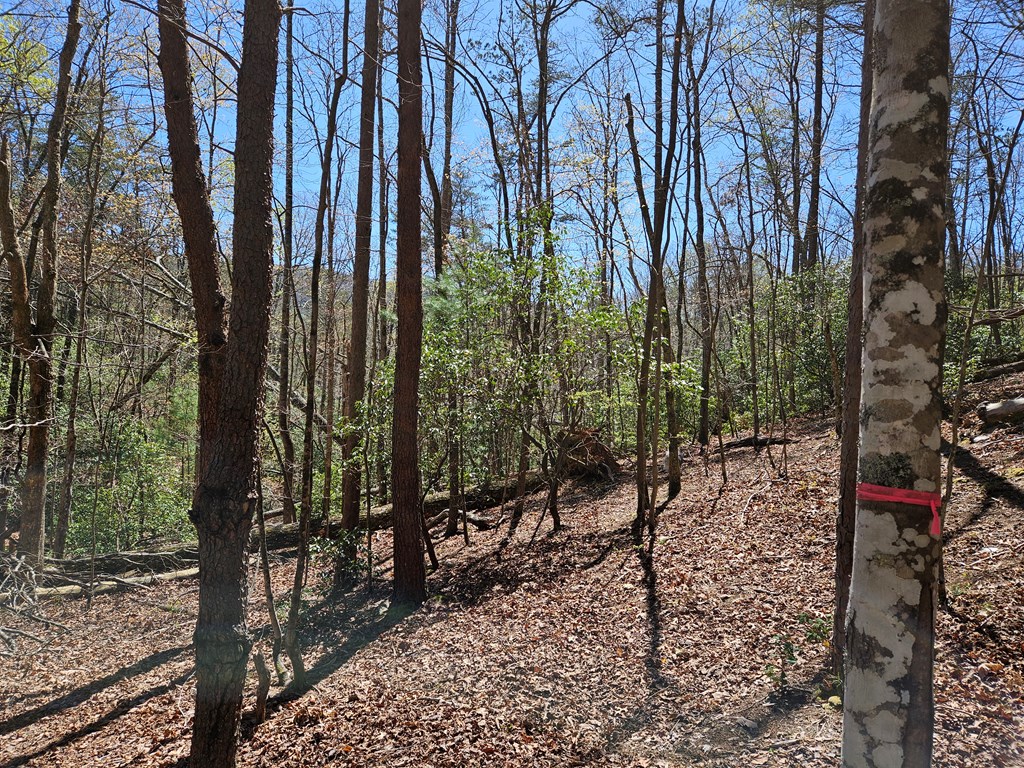 5.2 Deer Crest Road Property Photo 35