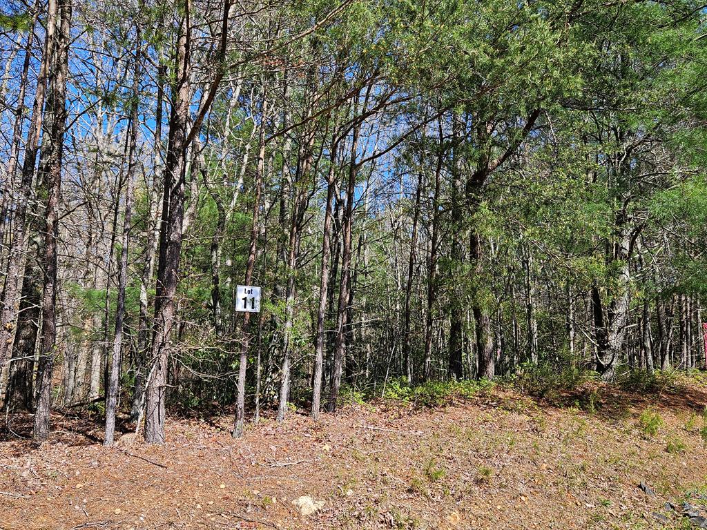 5.2 Deer Crest Road Property Photo 36