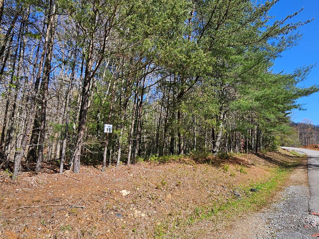 5.2 Deer Crest Road Property Photo 37