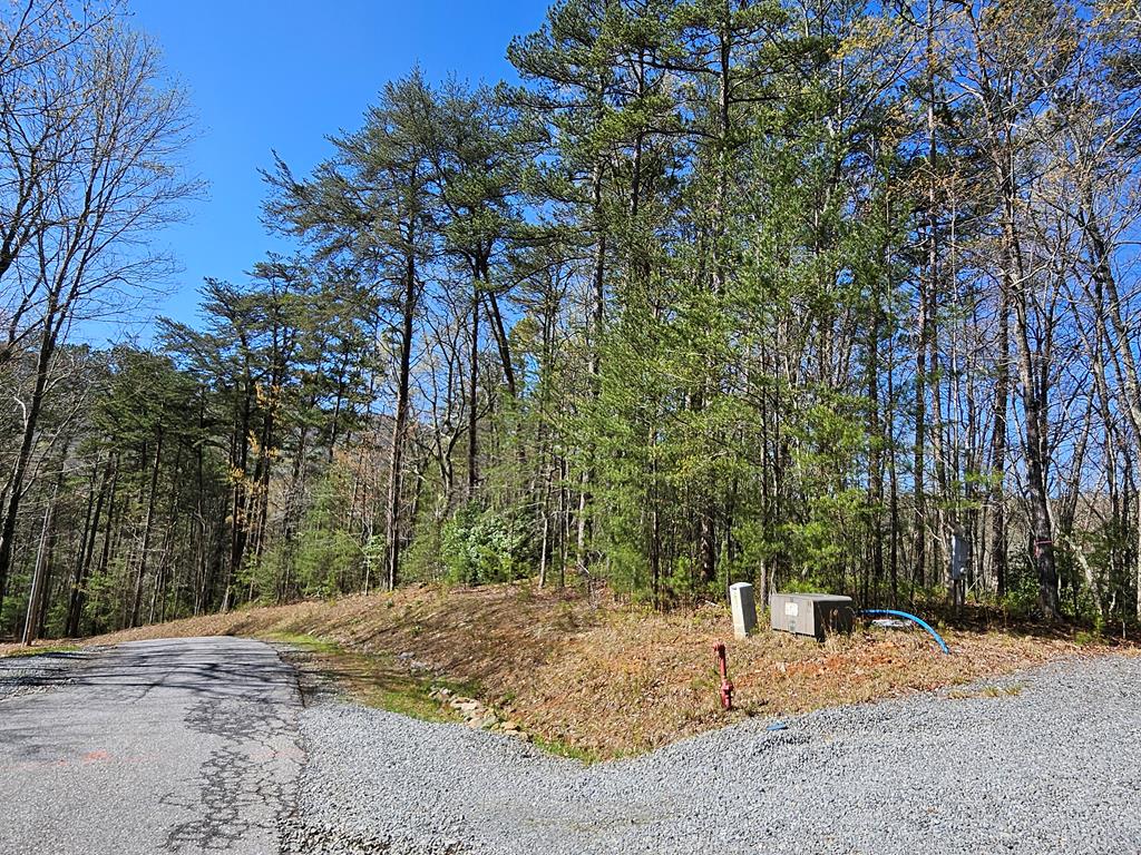 5.2 Deer Crest Road Property Photo 38