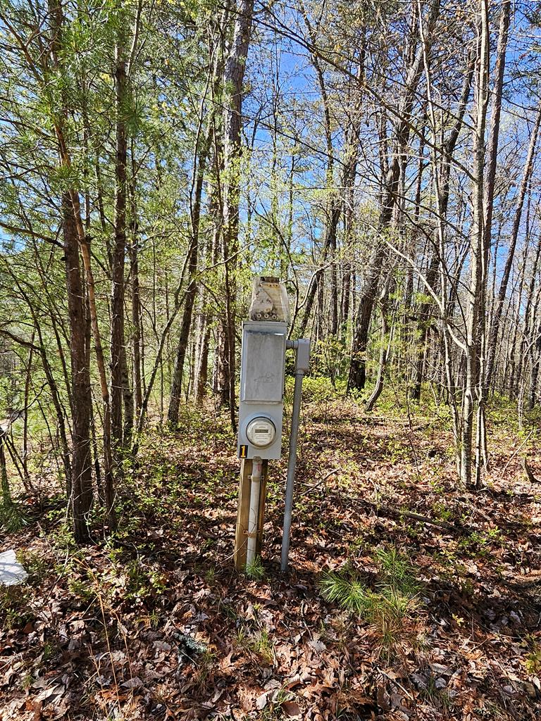 5.2 Deer Crest Road Property Photo 39