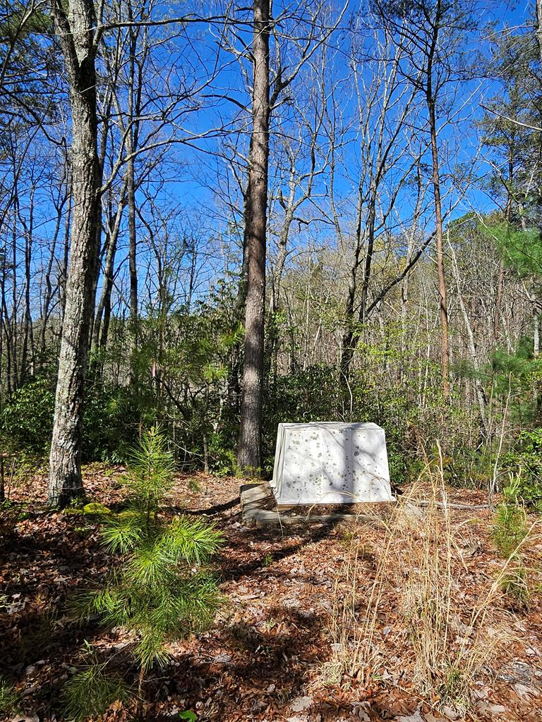 5.2 Deer Crest Road Property Photo 40