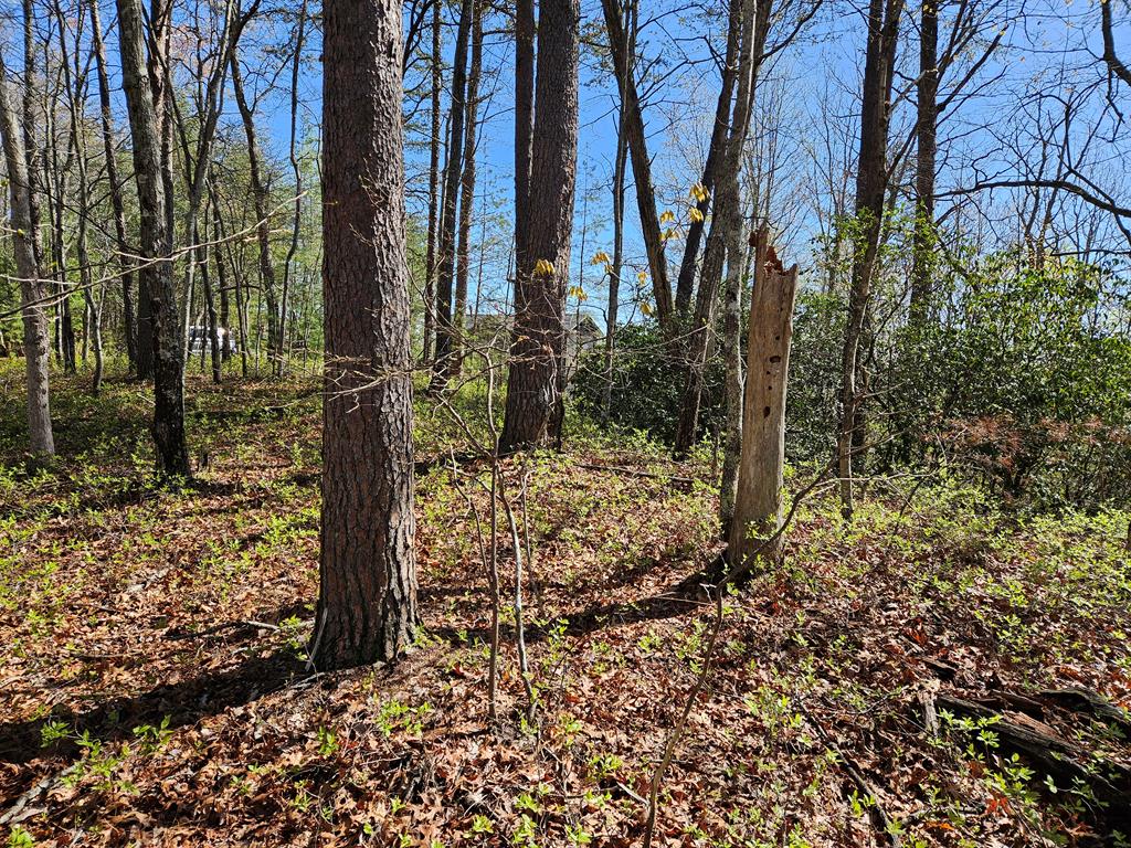 5.2 Deer Crest Road Property Photo 41