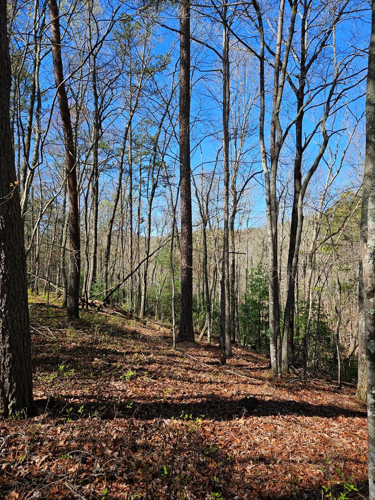 5.2 Deer Crest Road Property Photo 42