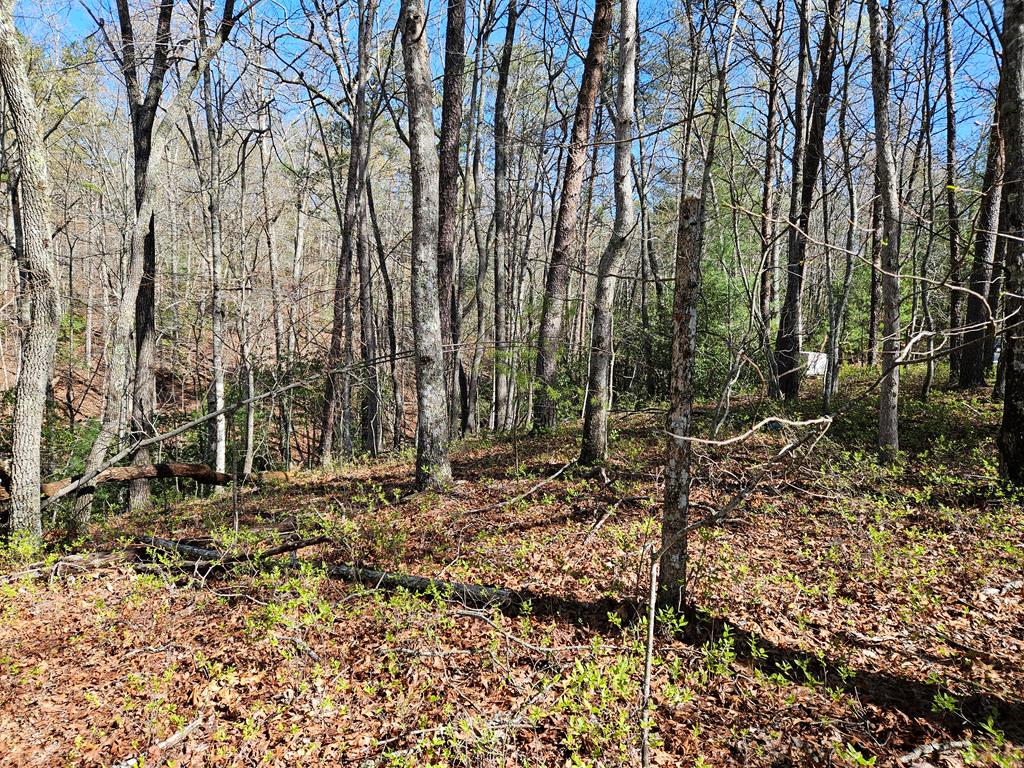 5.2 Deer Crest Road Property Photo 43