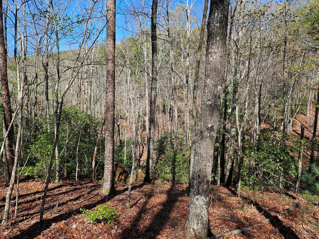 5.2 Deer Crest Road Property Photo 45