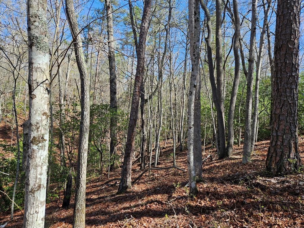 5.2 Deer Crest Road Property Photo 47