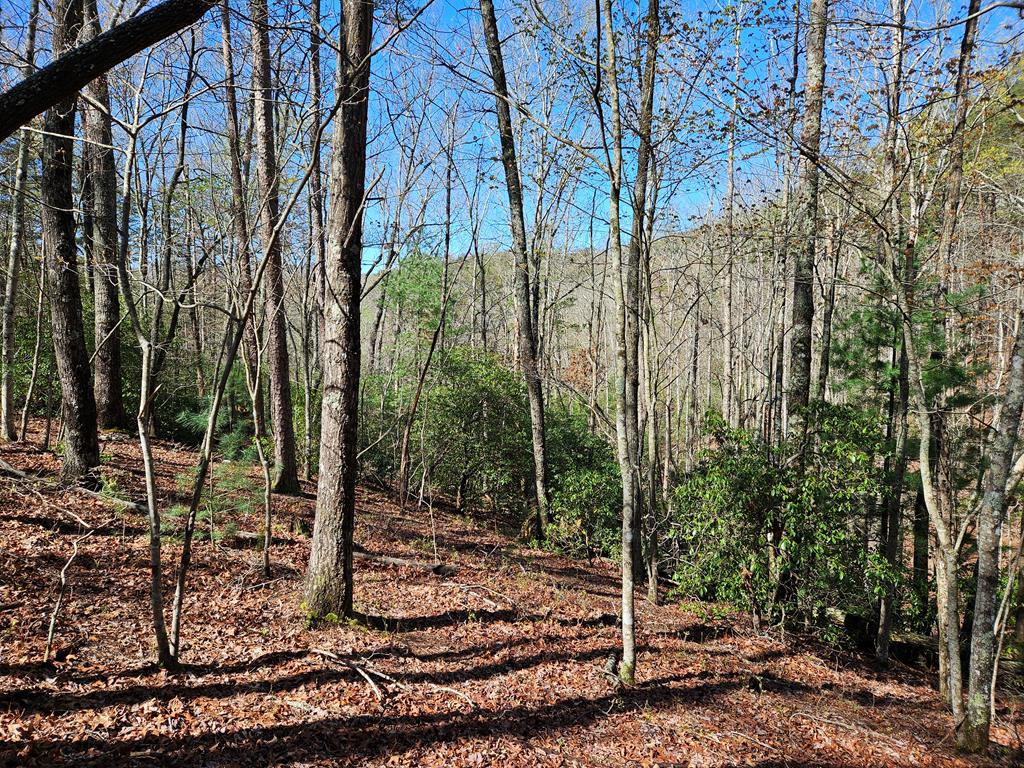 5.2 Deer Crest Road Property Photo 49