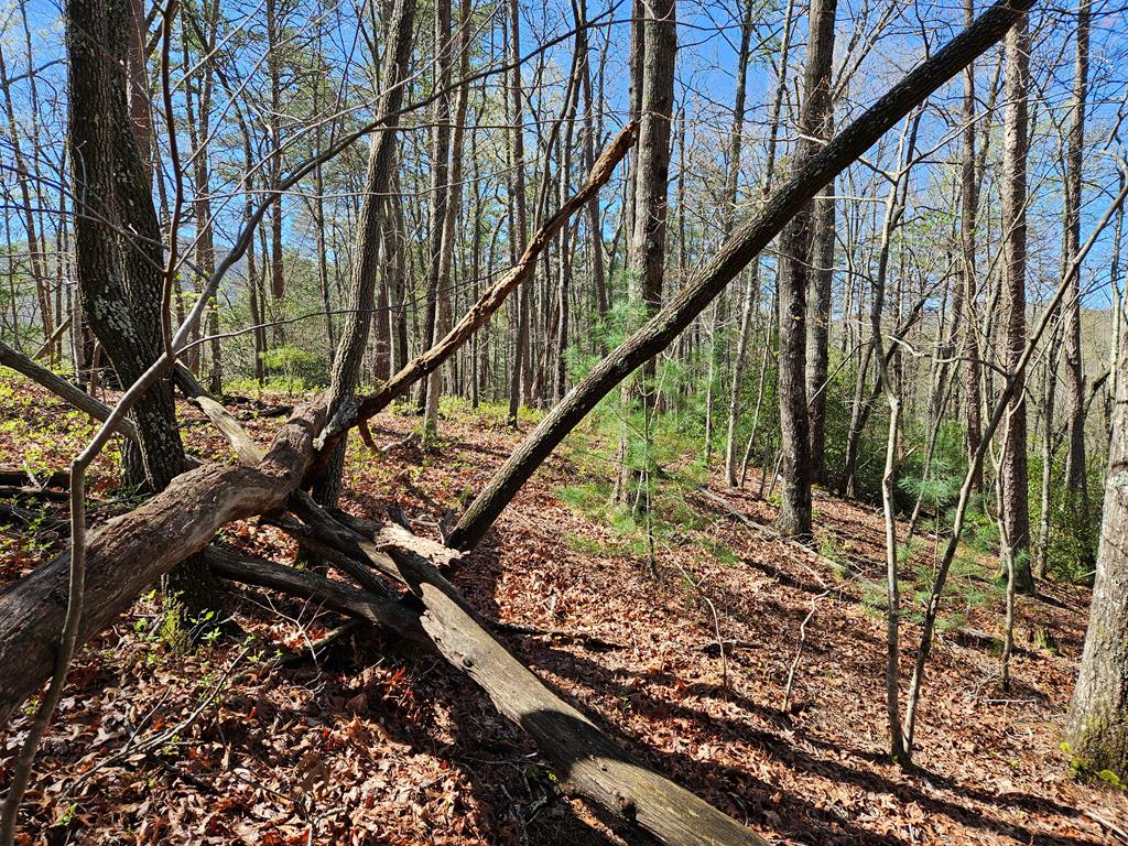 5.2 Deer Crest Road Property Photo 50