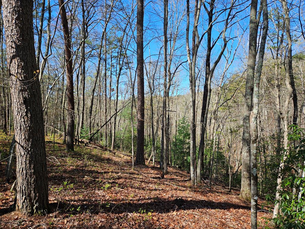 5.2 Deer Crest Road Property Photo 54