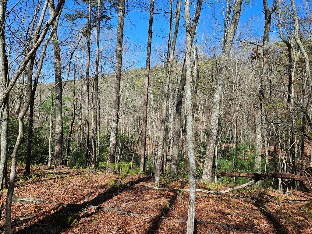 5.2 Deer Crest Road Property Photo 56