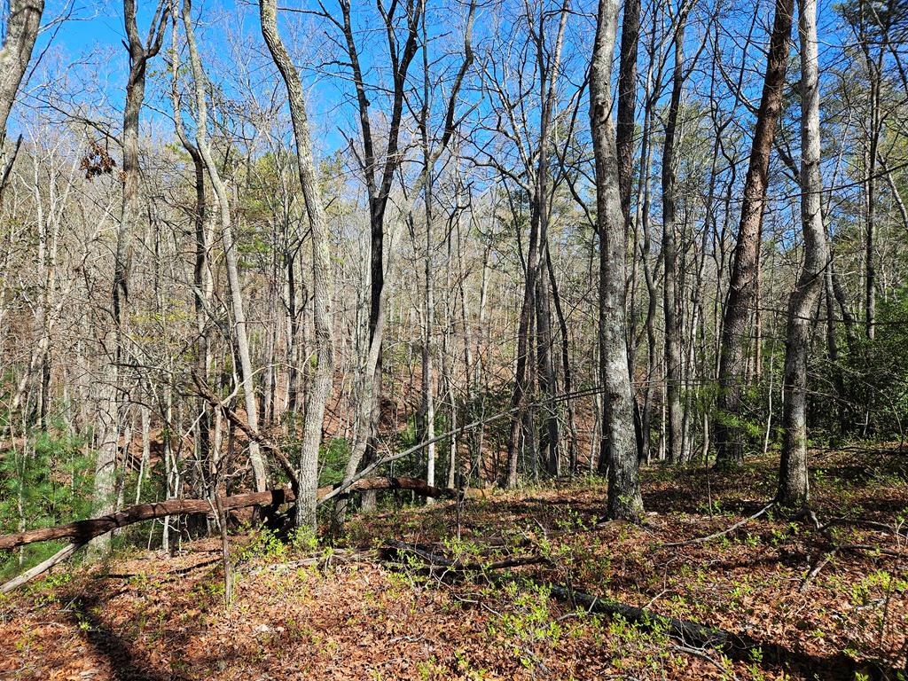 5.2 Deer Crest Road Property Photo 57