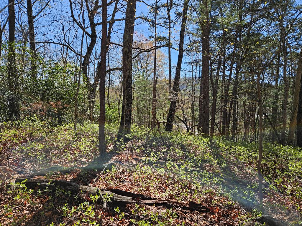 5.2 Deer Crest Road Property Photo 62