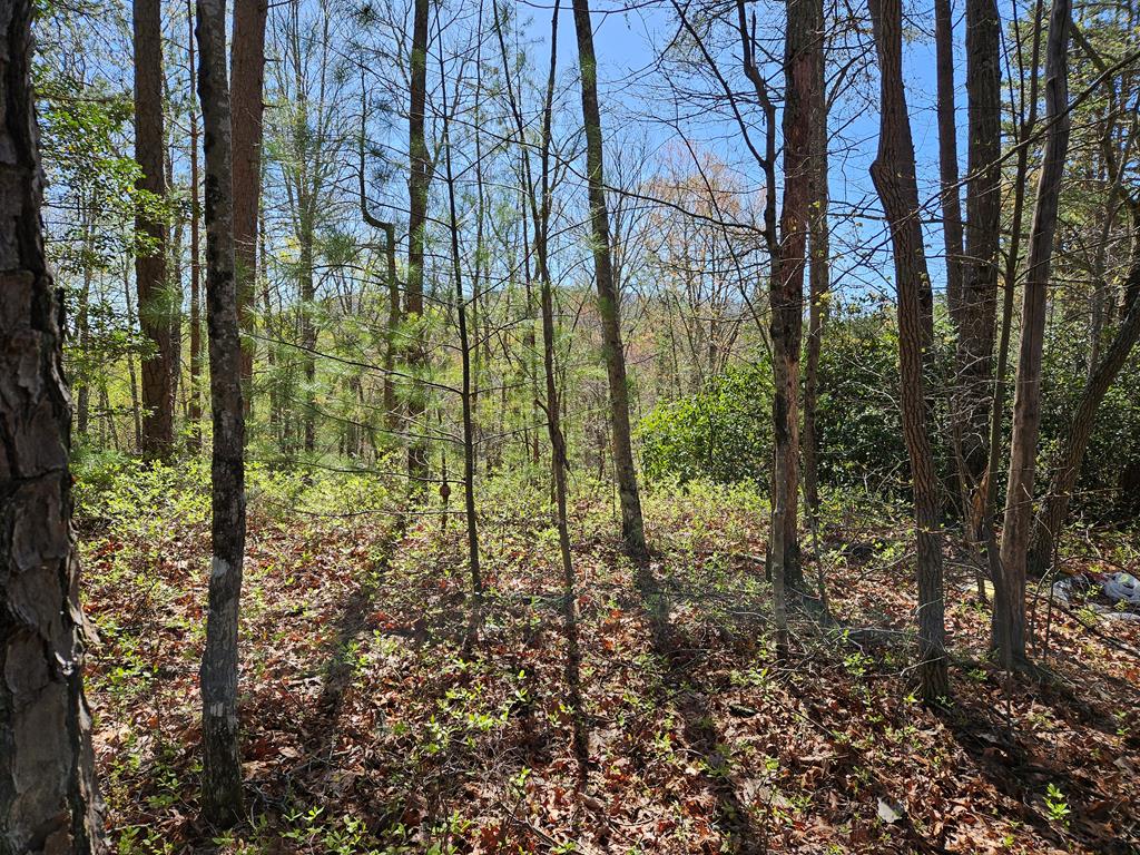 5.2 Deer Crest Road Property Photo 63