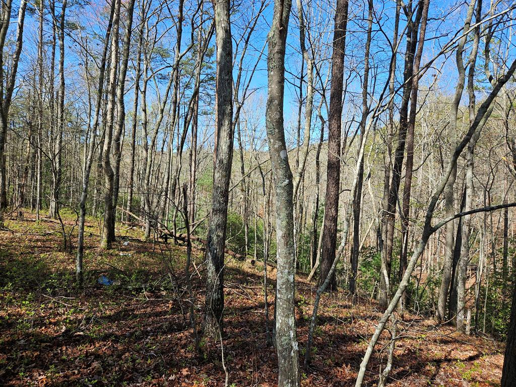 5.2 Deer Crest Road Property Photo 65