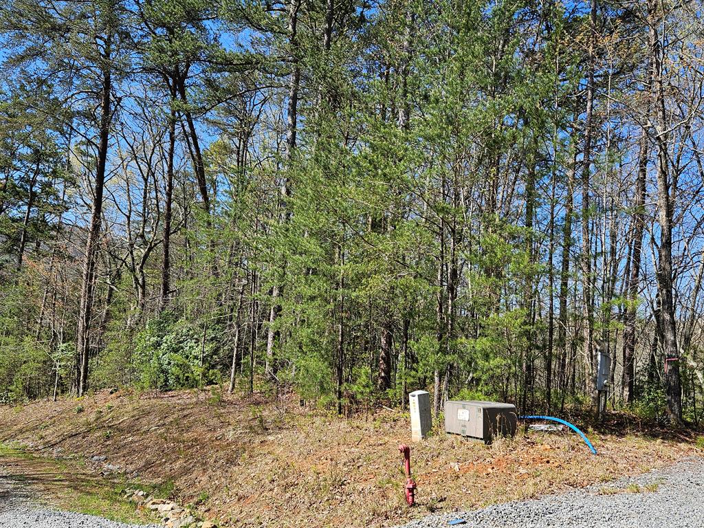 5.2 Deer Crest Road Property Photo 66