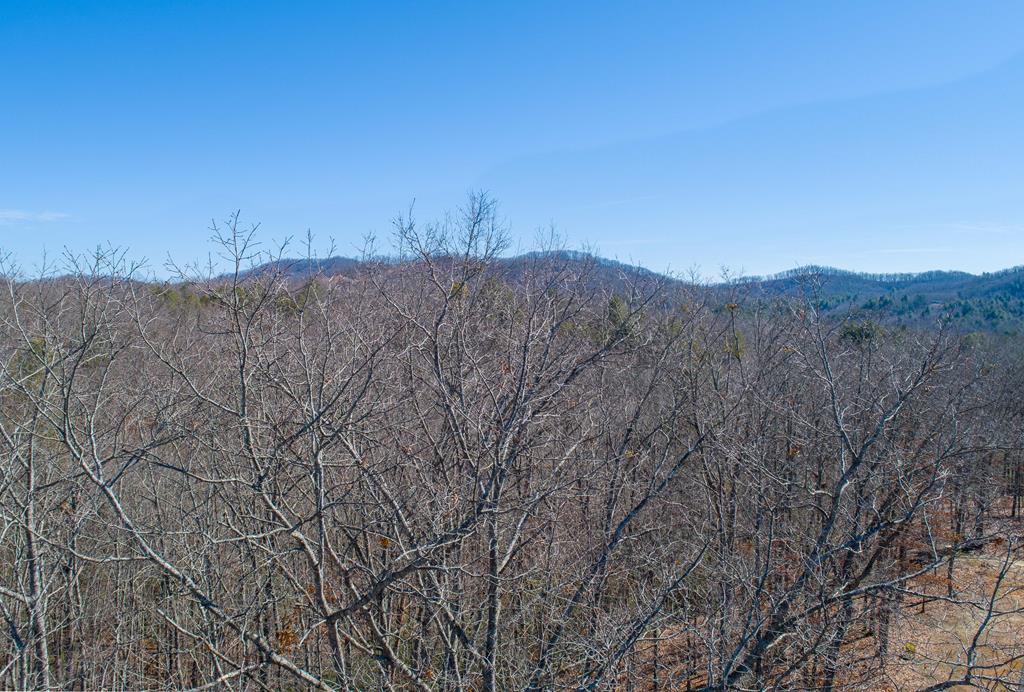 Lot 8 Settawig Overlook Property Photo 7