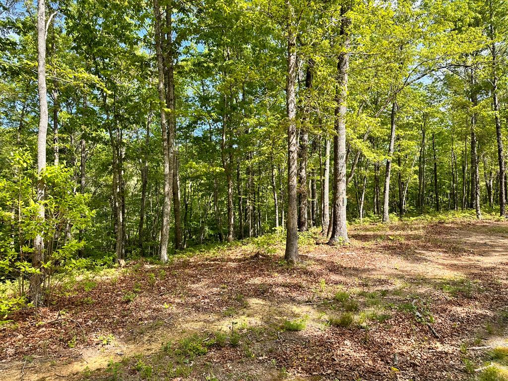 Lot 9 Settawig Overlook Property Photo 3