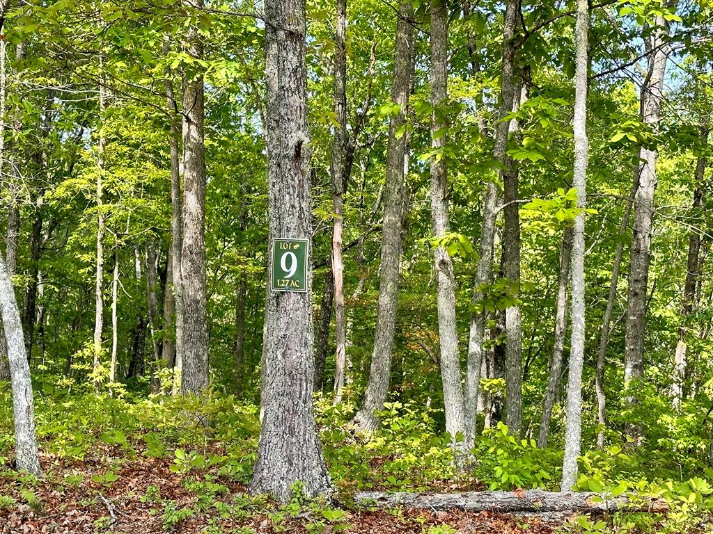 Lot 9 Settawig Overlook Property Photo 4