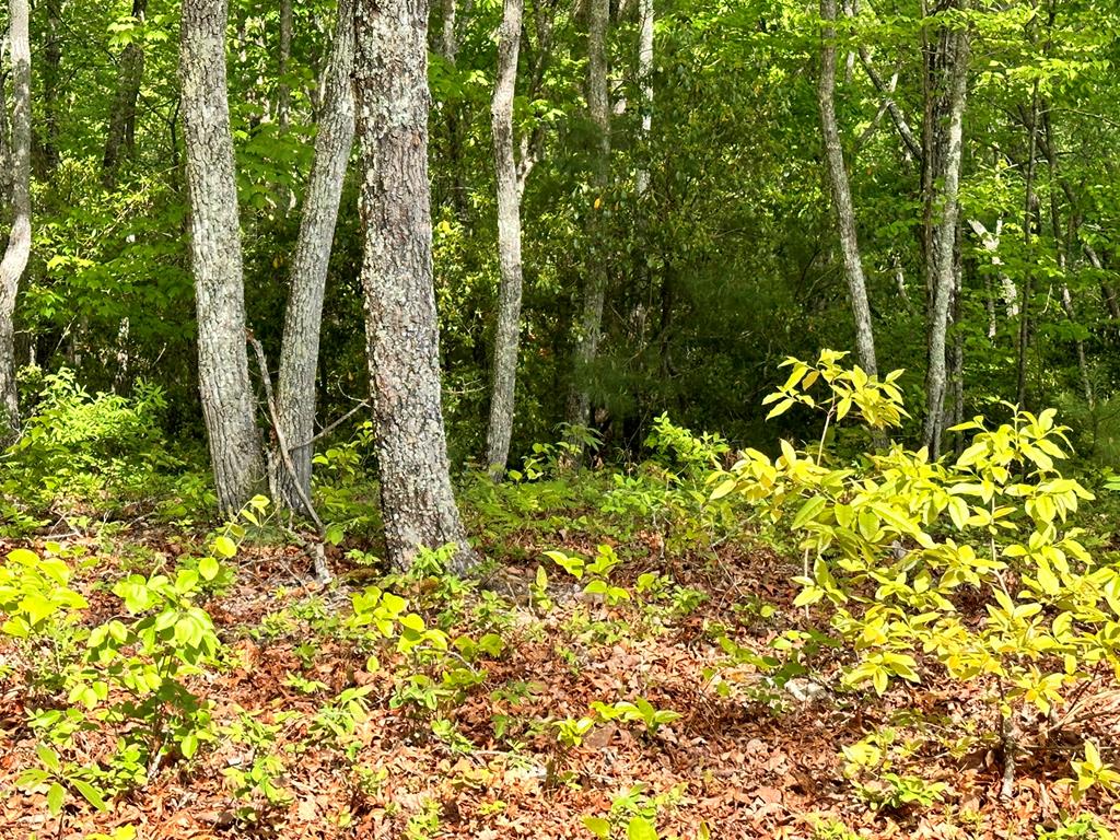 Lot 9 Settawig Overlook Property Photo 6