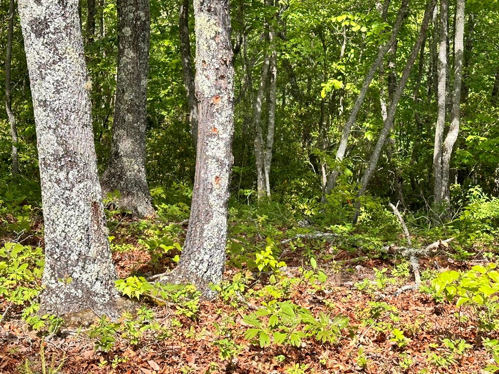 Lot 9 Settawig Overlook Property Photo 7