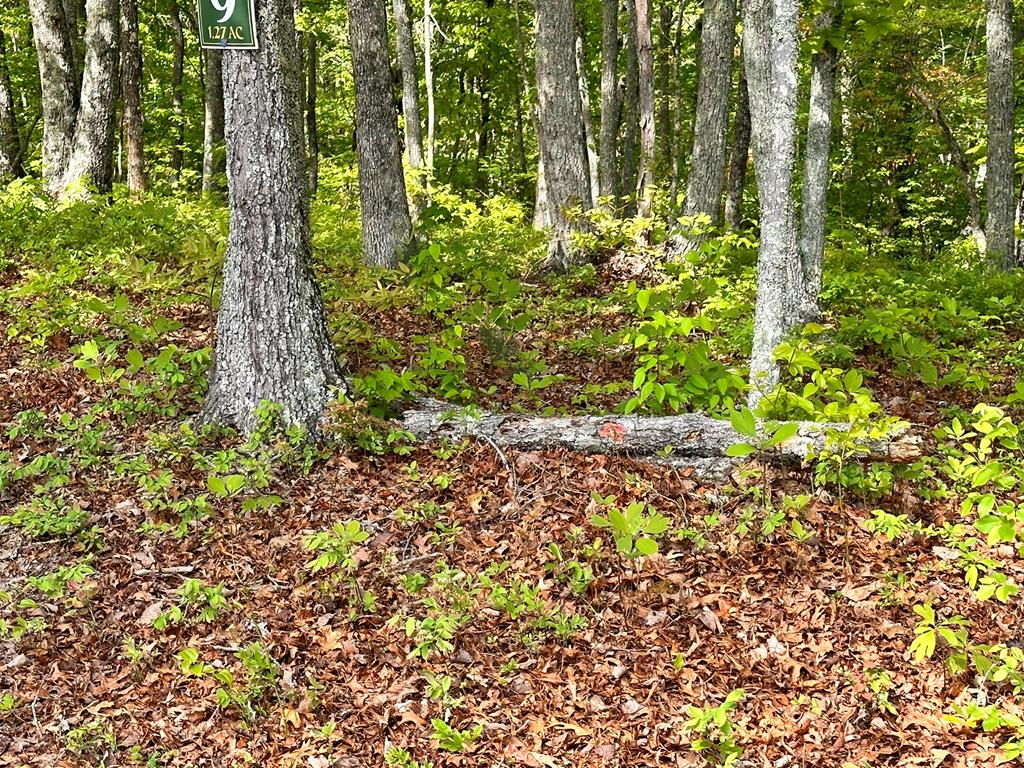 Lot 9 Settawig Overlook Property Photo 8