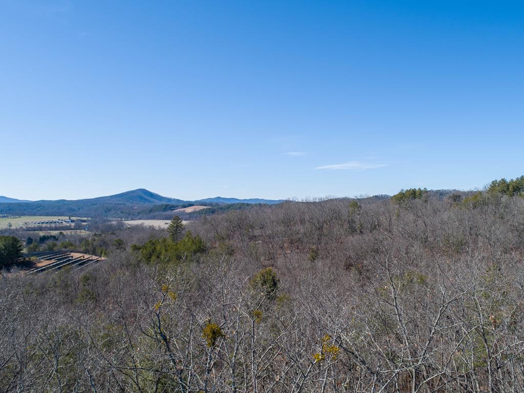 Lot 9 Settawig Overlook Property Photo 9