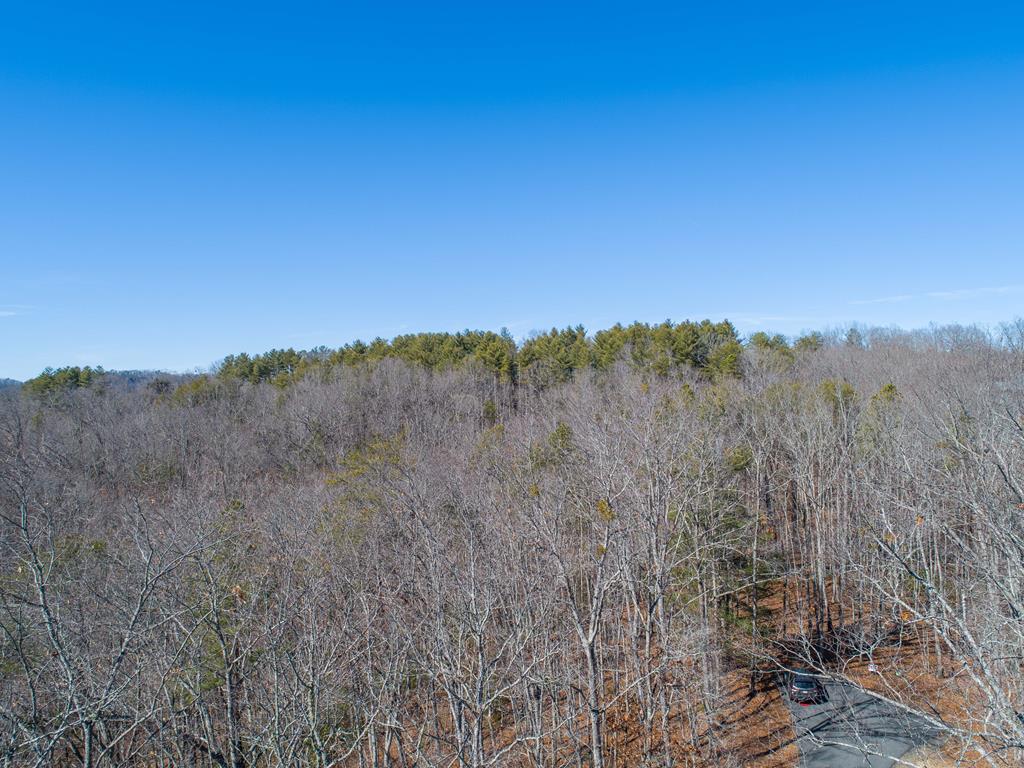 Lot 9 Settawig Overlook Property Photo 10