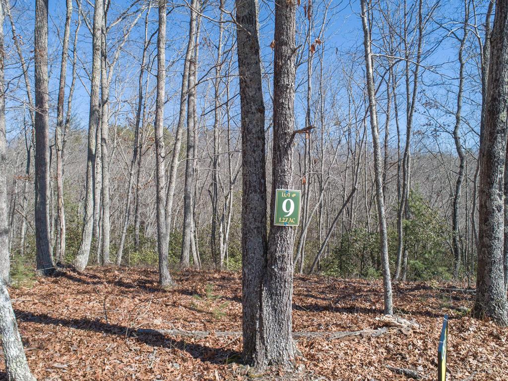 Lot 9 Settawig Overlook Property Photo 11