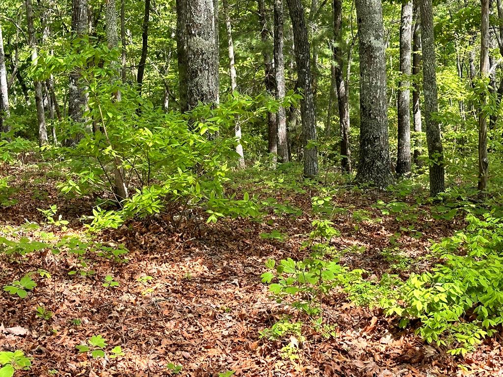 Lot 11 Settawig Overlook Property Photo 6
