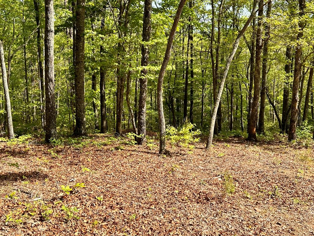Lot 11 Settawig Overlook Property Photo 7