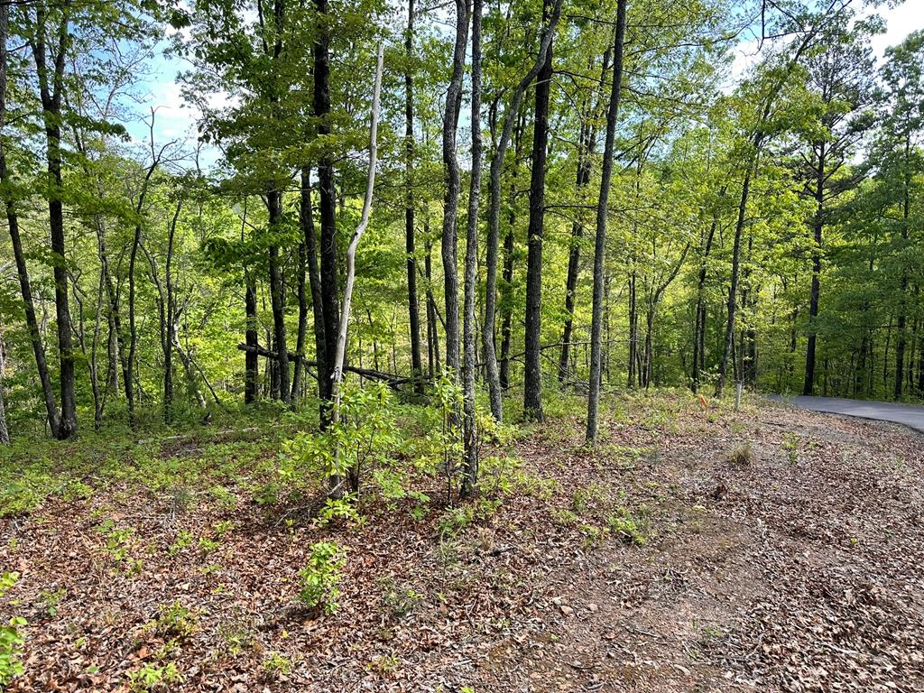 Lot 12 Settawig Overlook Property Photo 6