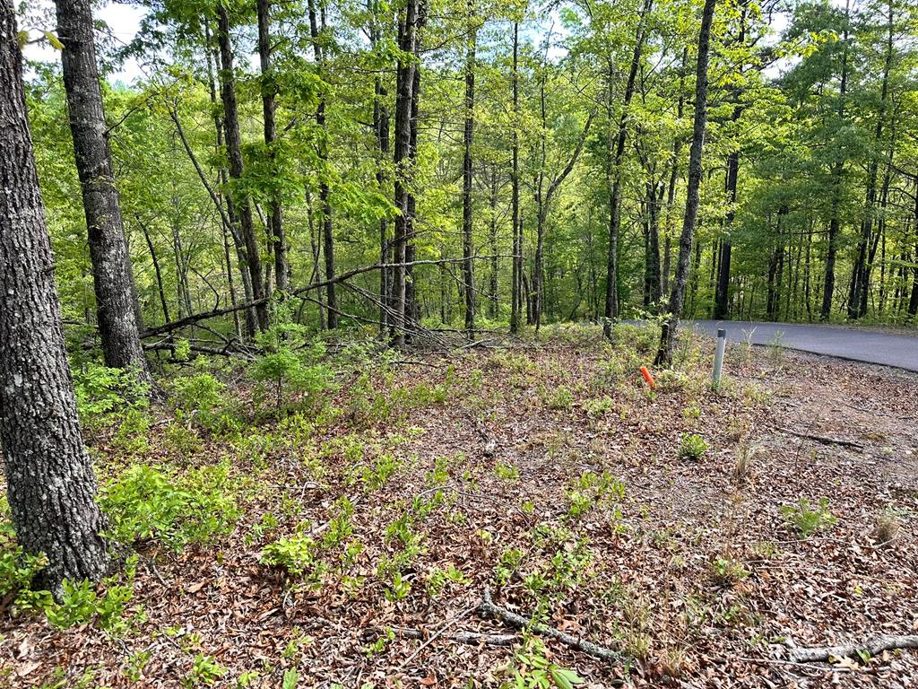 Lot 12 Settawig Overlook Property Photo 8